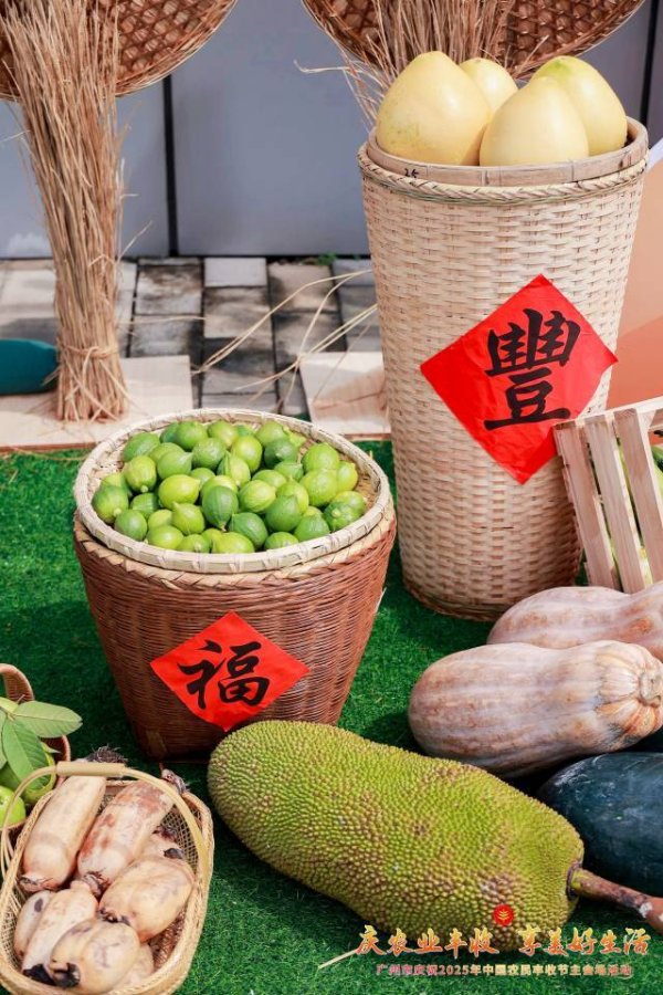 股票配资怎么赚钱 广州南沙：丰收节里共话丰年